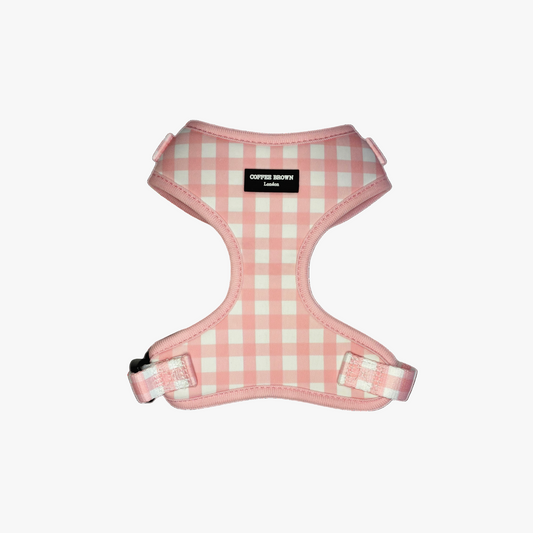 BRISELLE EDICIÓN ESPECIAL DE NAVIDAD