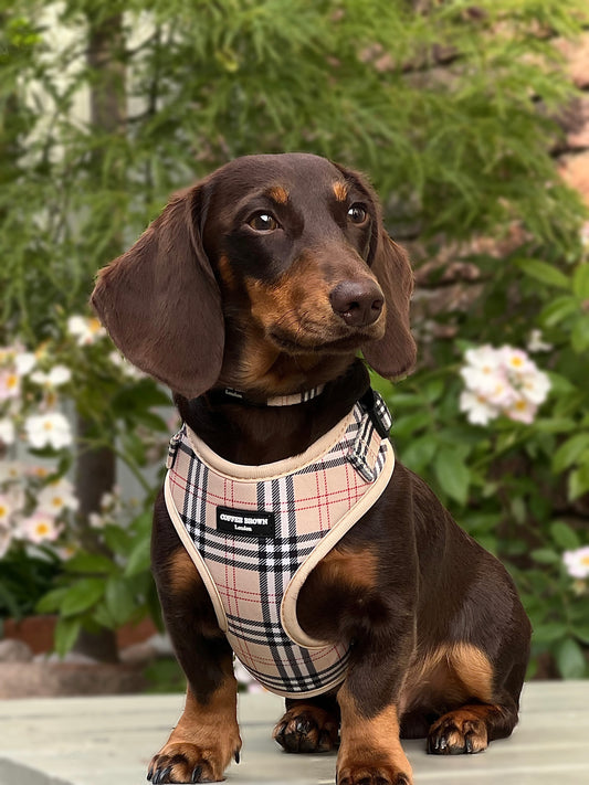 Conjunto Vartania Complete