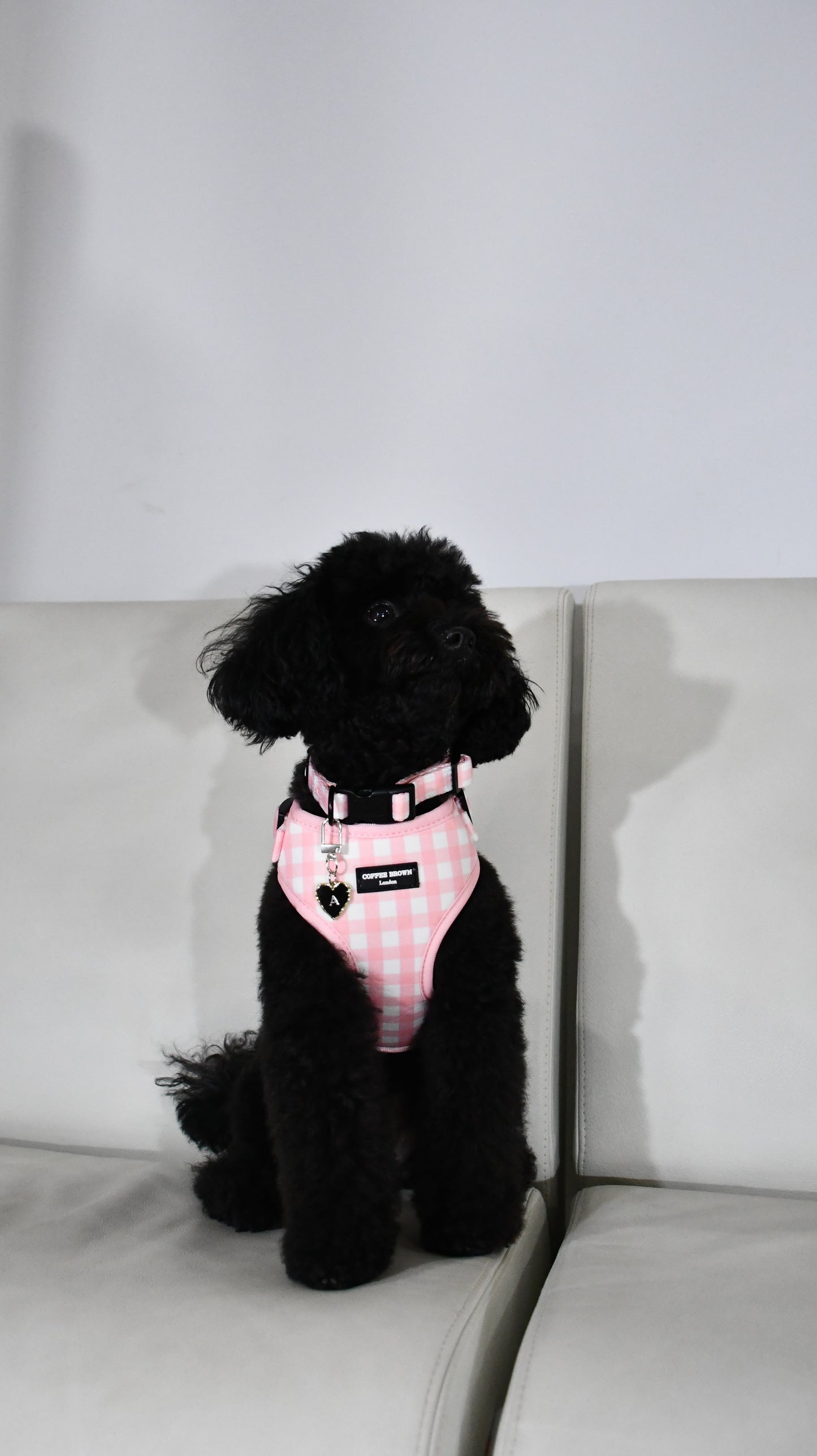 Conjunto Briselle Complete