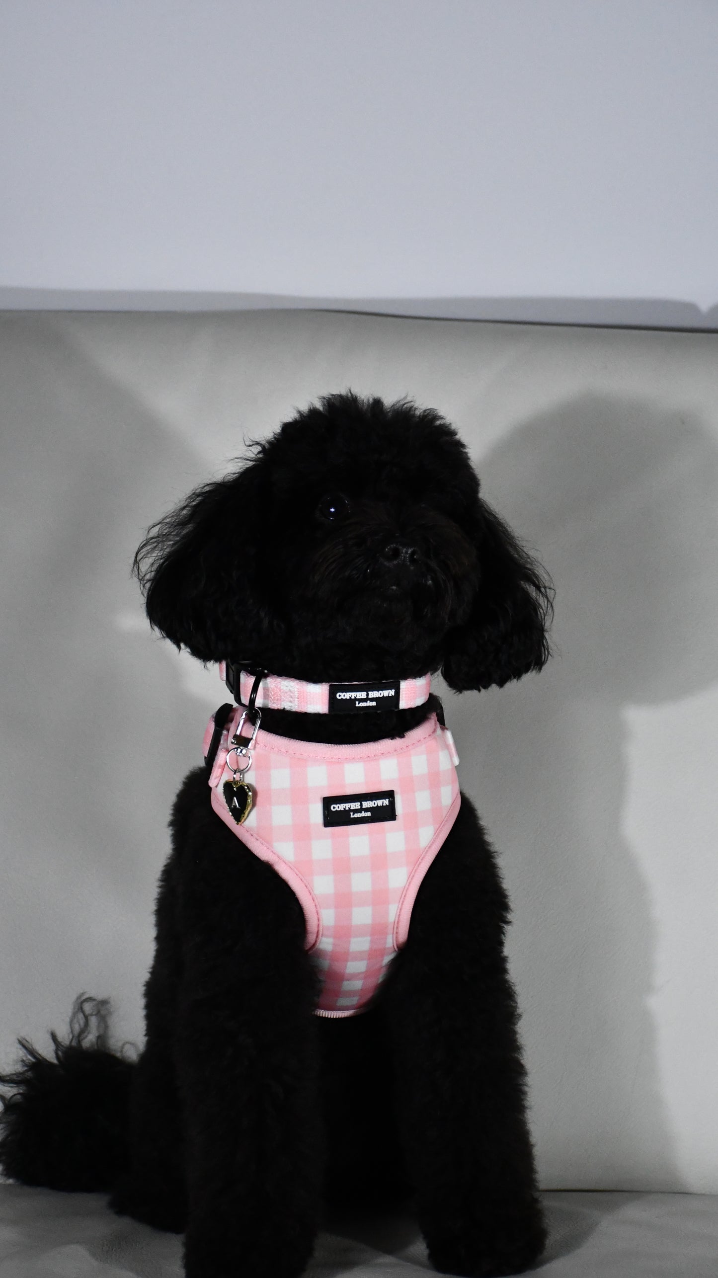 Etiqueta de corazón negro