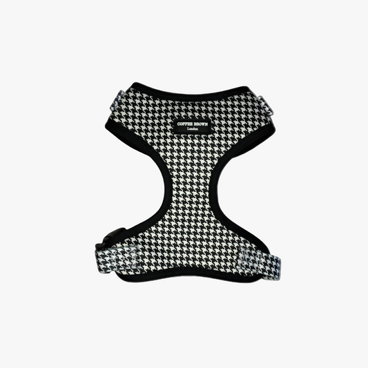 NOIVRA EDICIÓN ESPECIAL DE NAVIDAD