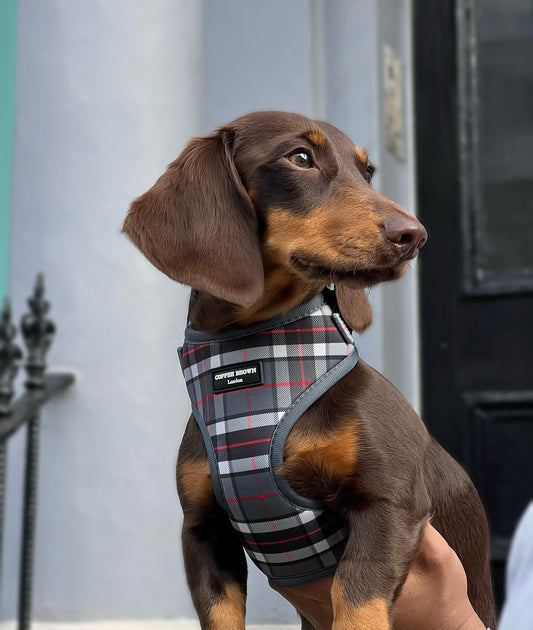 Conjunto Greylon Complete