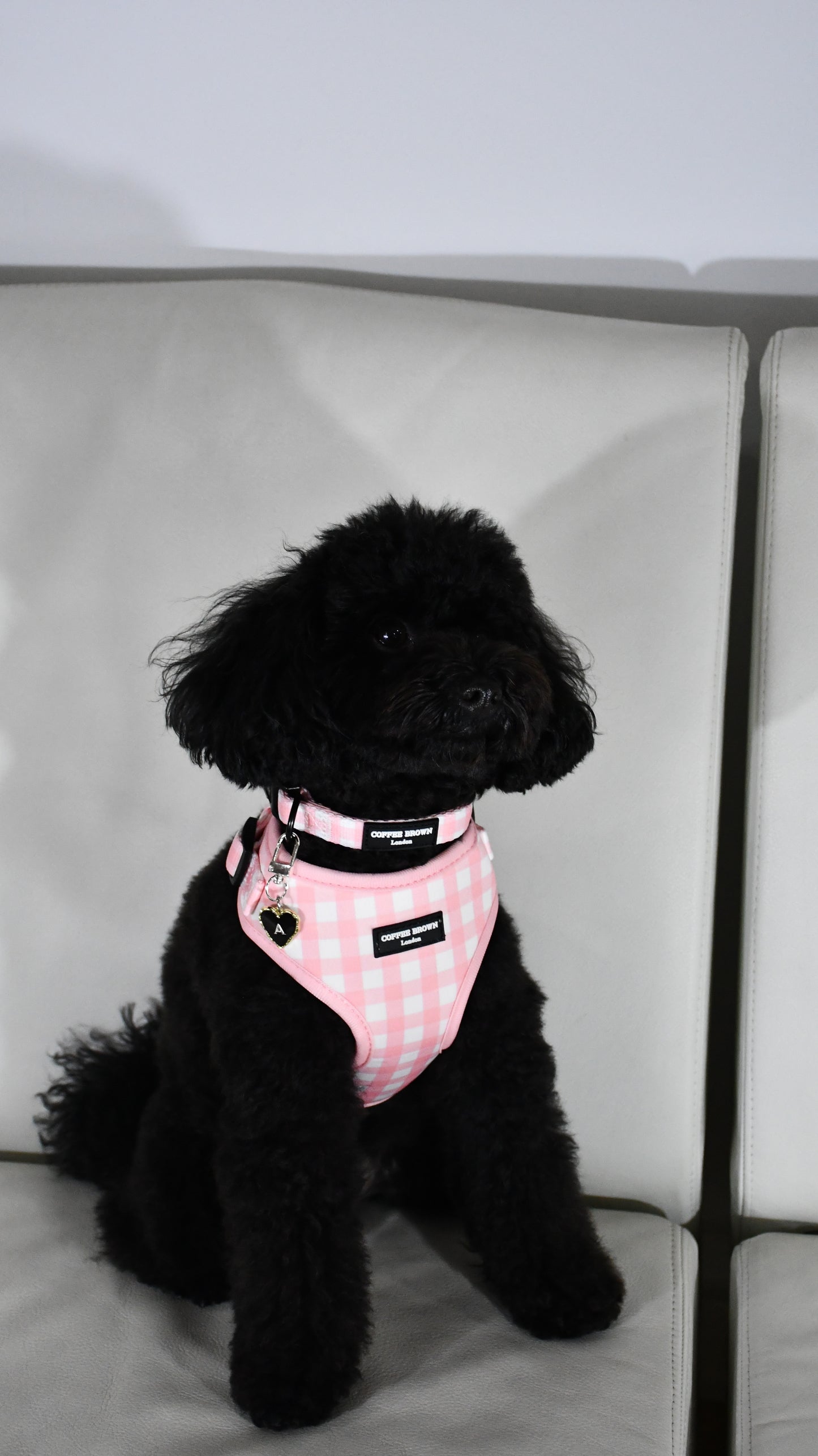 Etiqueta de corazón negro