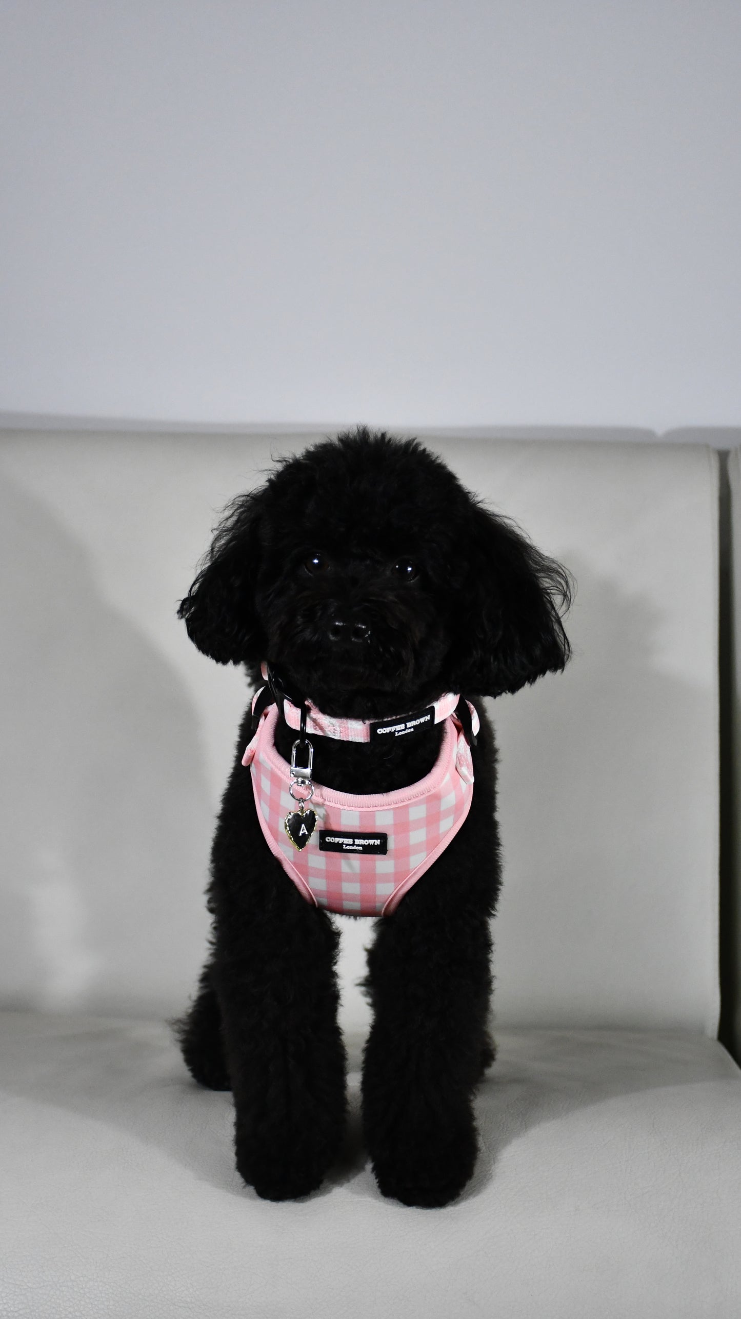 Etiqueta de corazón negro