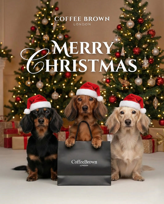 NOIVRA EDICIÓN ESPECIAL DE NAVIDAD