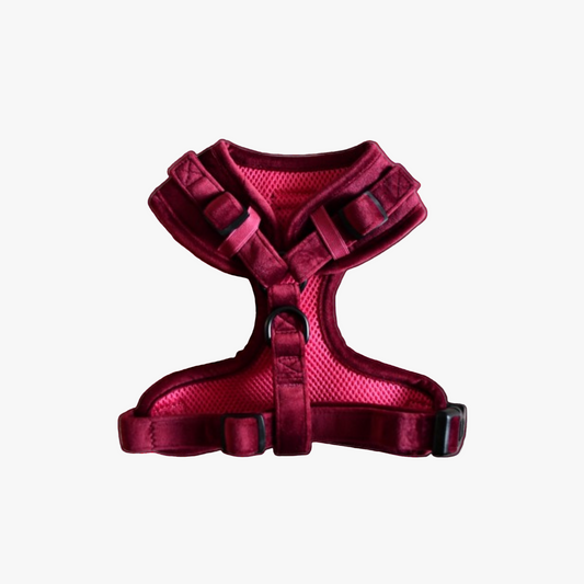 Red dog harness