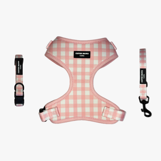 Conjunto Briselle Complete