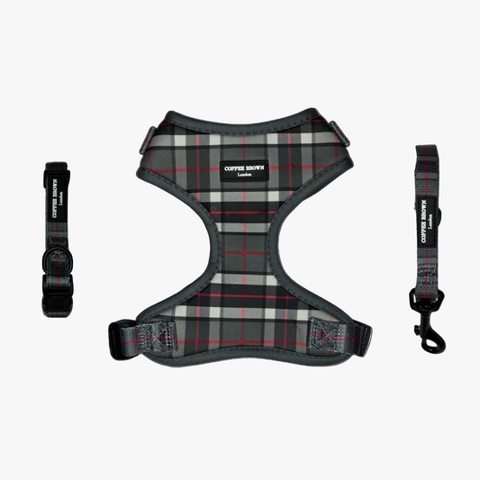 Conjunto Greylon Complete