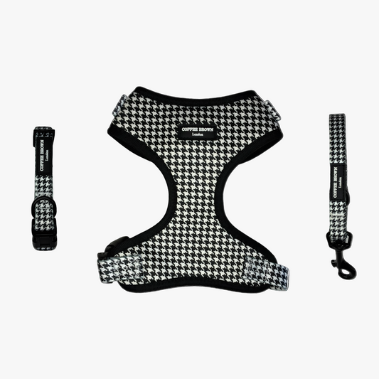 Conjunto Noivra Complete