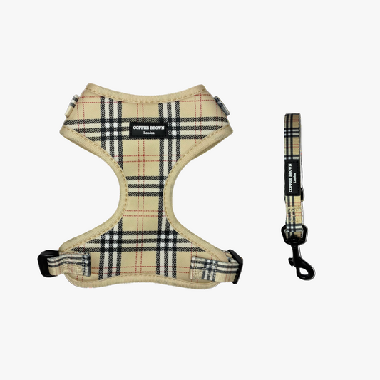 Conjunto Vartania Essential