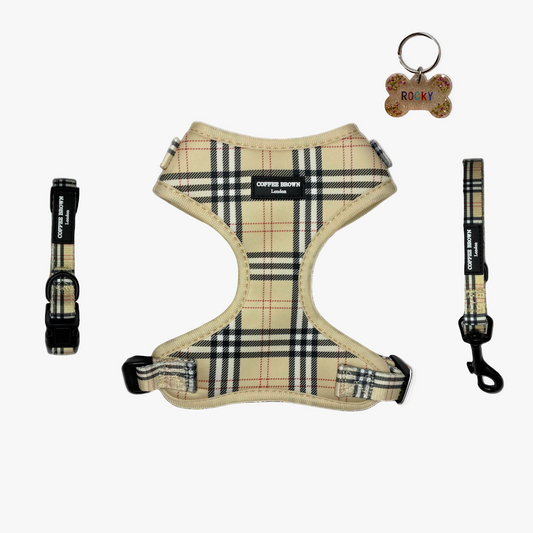 Conjunto Vartania Exclusive