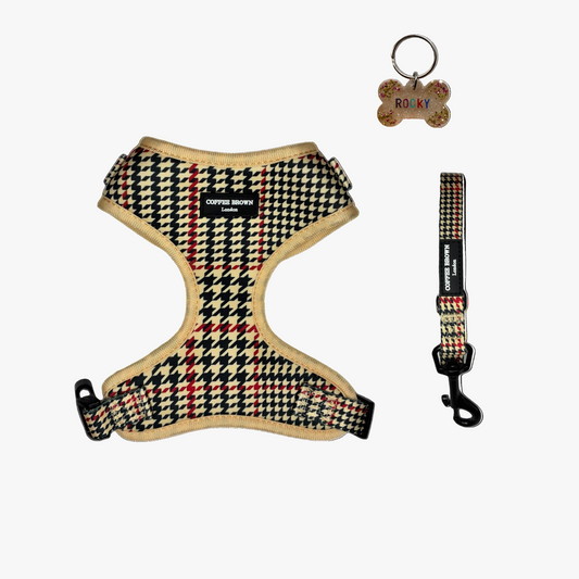 Conjunto Wynne Signature